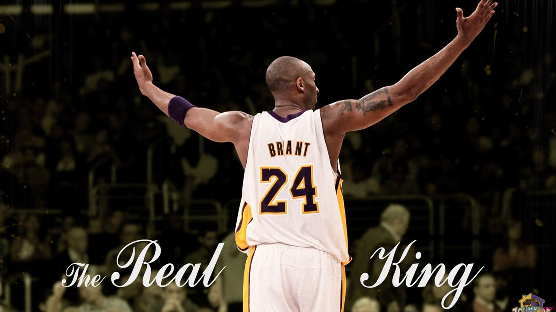 绿茵场外的翻盘，从荷兰逆转智利看NBA季后赛的韧性哲学